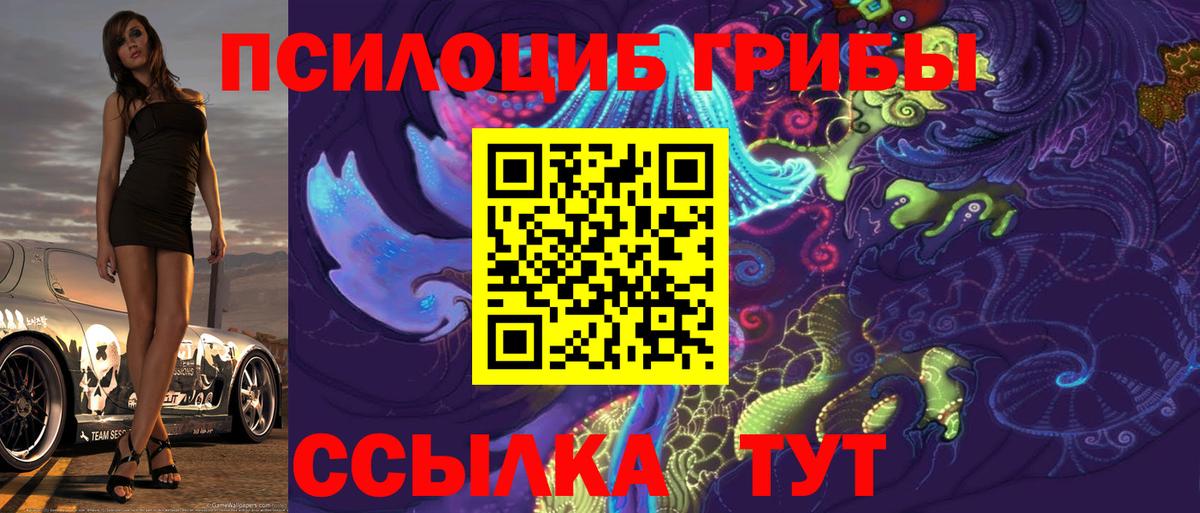 Белово  Галлюциногенные грибы прущие грибы  Вход с VPN 